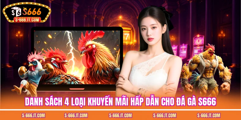 Danh sách 4 loại khuyến mãi hấp dẫn cho đá gà S666