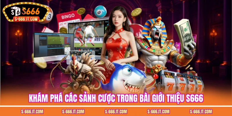 Khám phá các sảnh cược trong bài giới thiệu S666
