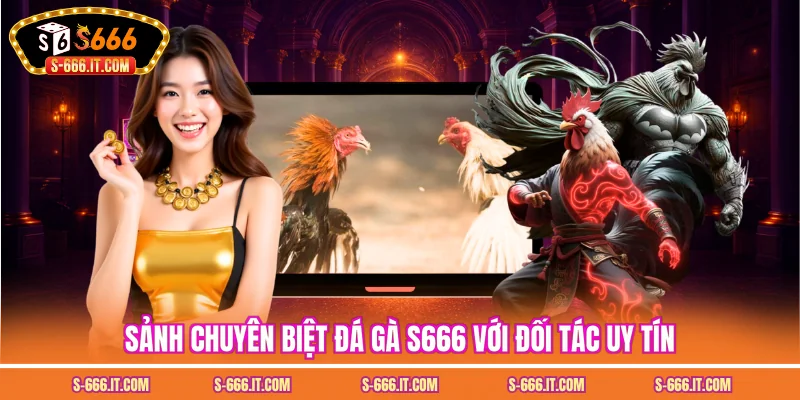 Sảnh chuyên biệt đá gà S666 với đối tác uy tín